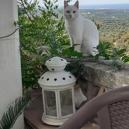 Διαμέρισμα Dimora In Collina Monopoli