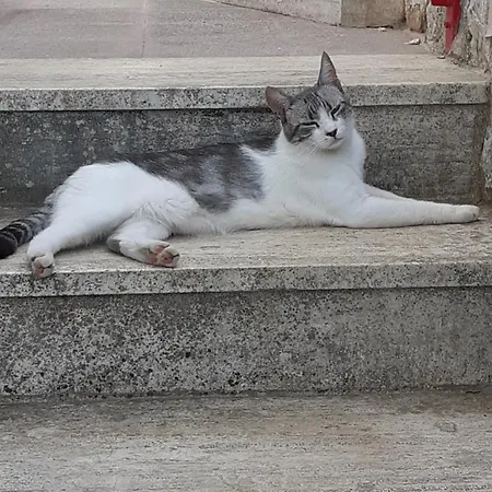 Dimora In Collina Monopoli